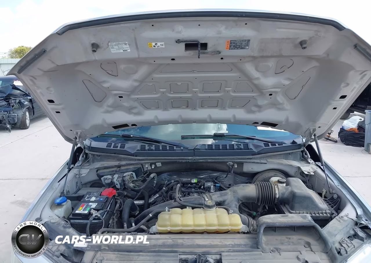 2020 Ford F-150 Xl VIN:1FTEW1CP4LKE24339 - 10