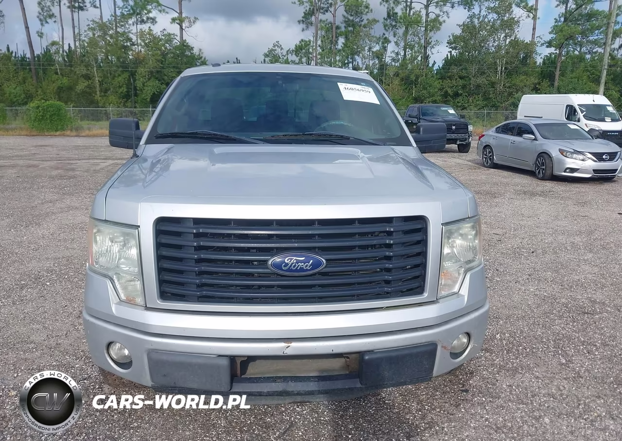2014 Ford F-150 Stx VIN:1FTMF1CM9EKF87069 - 12