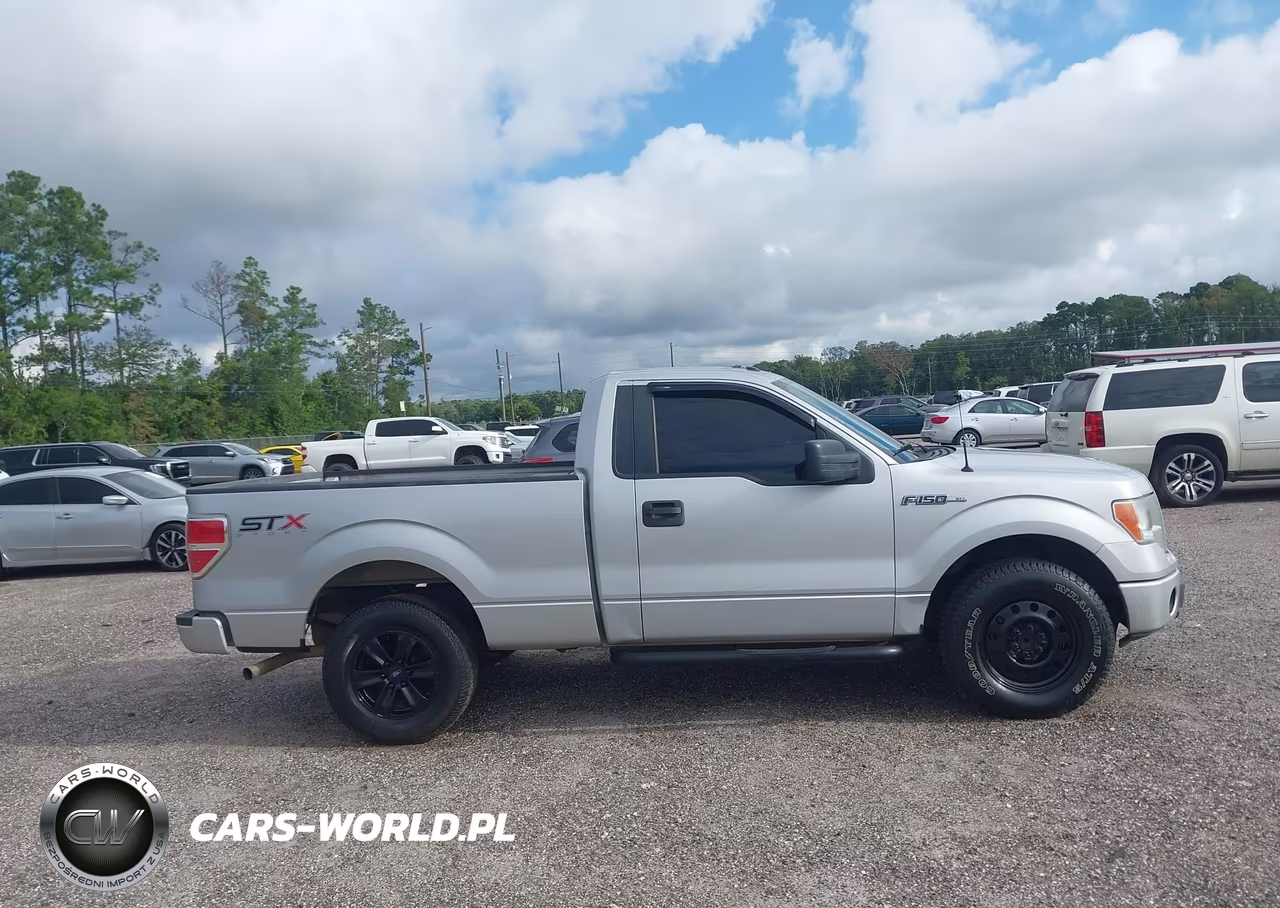 2014 Ford F-150 Stx VIN:1FTMF1CM9EKF87069 - 13