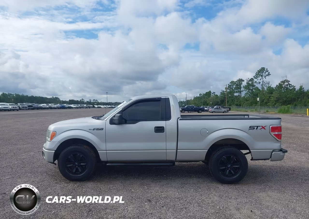 2014 Ford F-150 Stx VIN:1FTMF1CM9EKF87069 - 14