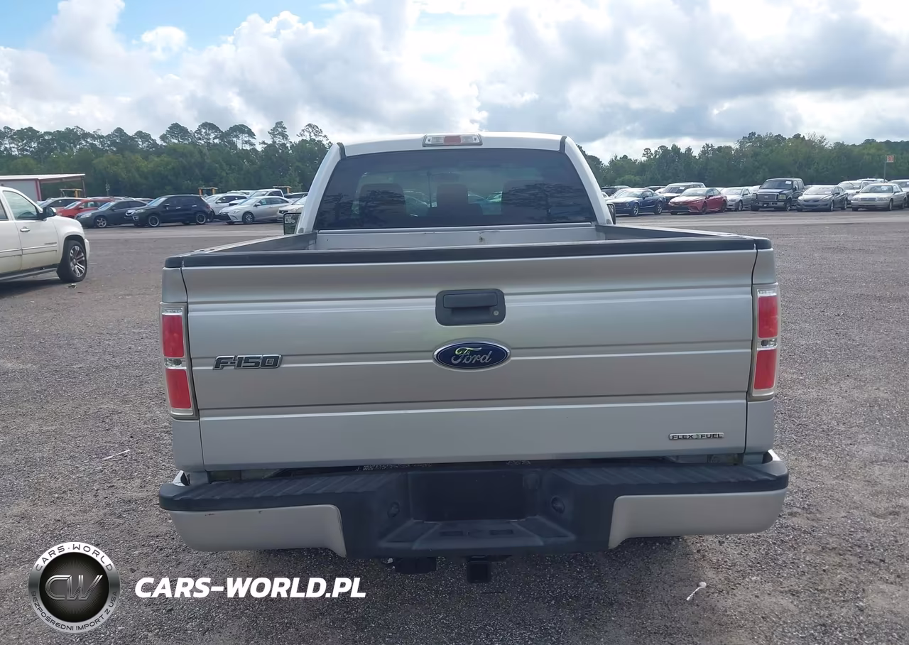 2014 Ford F-150 Stx VIN:1FTMF1CM9EKF87069 - 16
