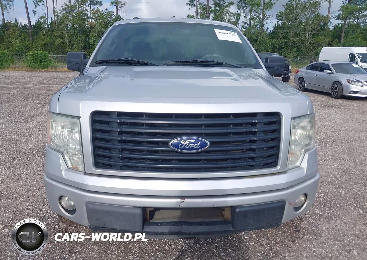 2014 Ford F-150 Stx VIN:1FTMF1CM9EKF87069 - 6