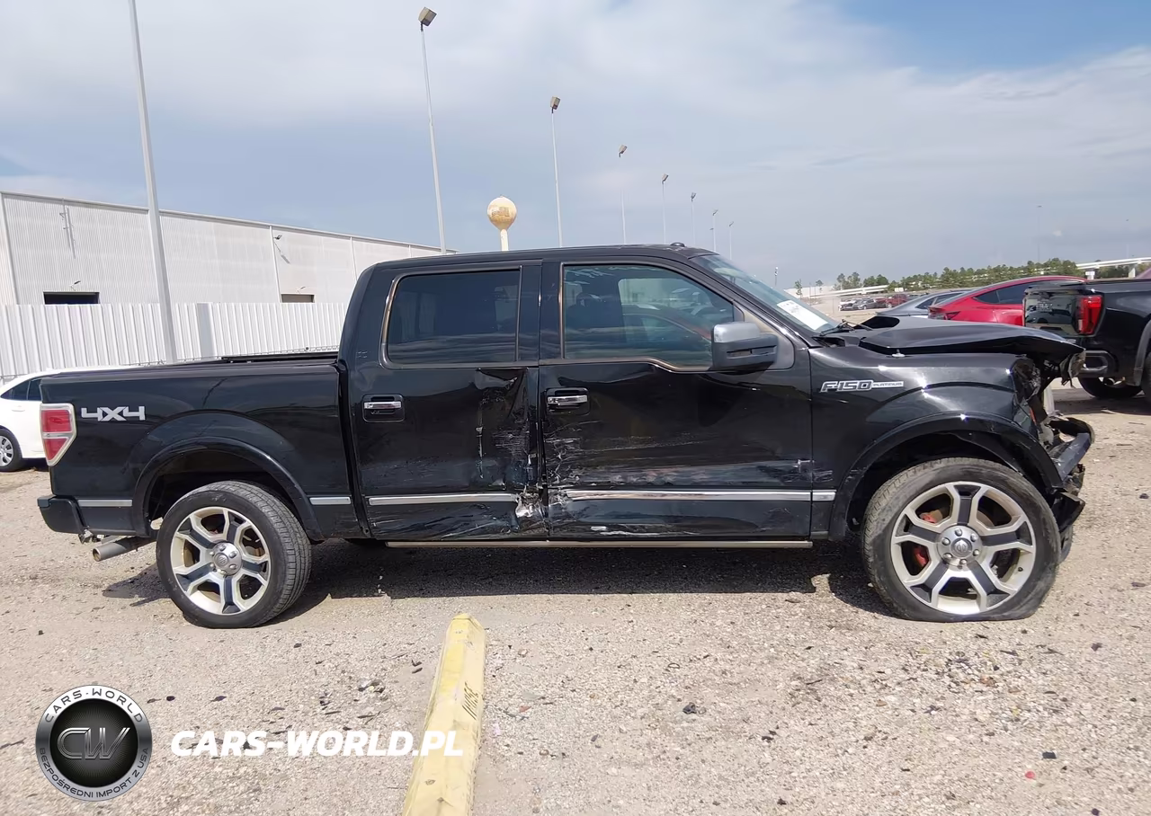 2010 Ford F-150 Fx4-Harley-Davidson-King Ranch-Lariat-Platinum-Xl-Xlt VIN:1FTFW1EV9AFB46883 - 13