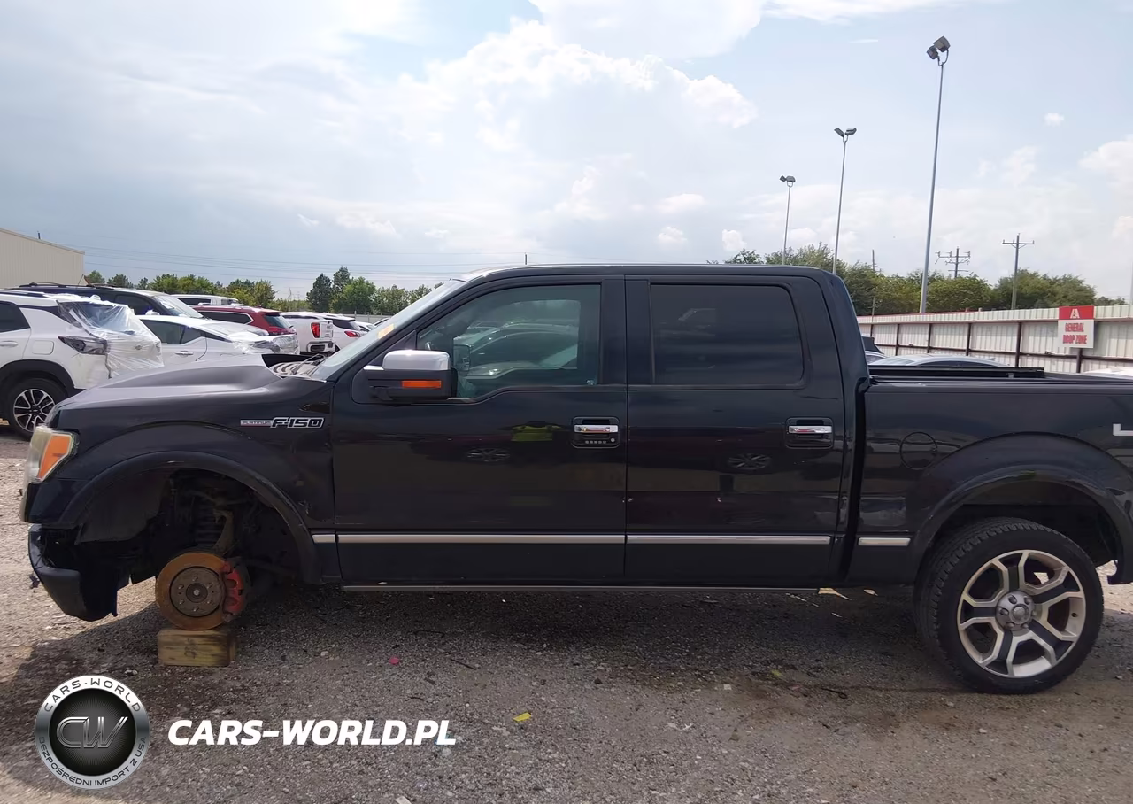 2010 Ford F-150 Fx4-Harley-Davidson-King Ranch-Lariat-Platinum-Xl-Xlt VIN:1FTFW1EV9AFB46883 - 14