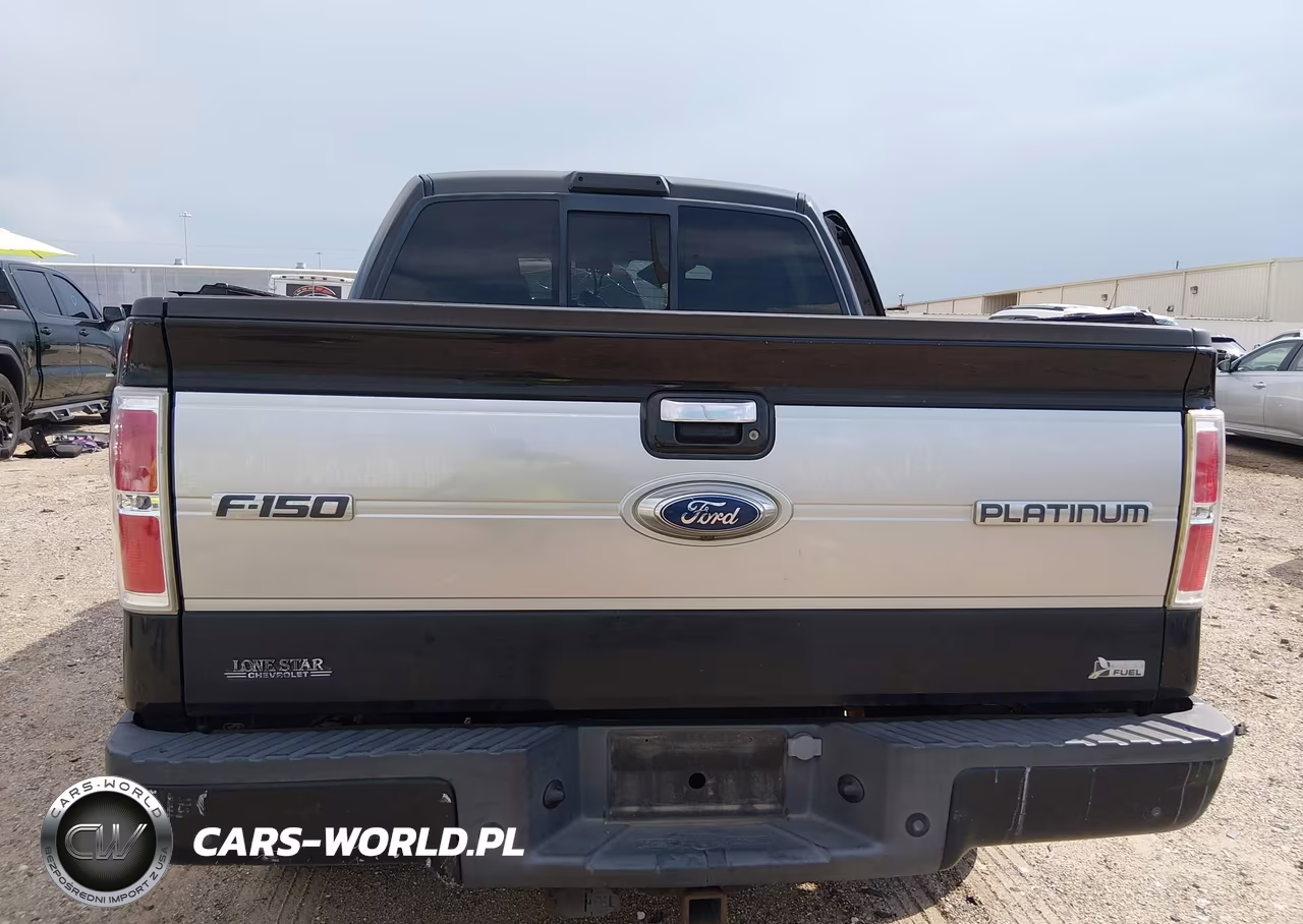 2010 Ford F-150 Fx4-Harley-Davidson-King Ranch-Lariat-Platinum-Xl-Xlt VIN:1FTFW1EV9AFB46883 - 16