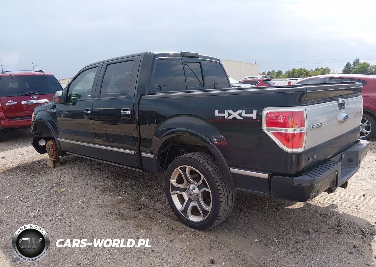 2010 Ford F-150 Fx4-Harley-Davidson-King Ranch-Lariat-Platinum-Xl-Xlt VIN:1FTFW1EV9AFB46883 - 3
