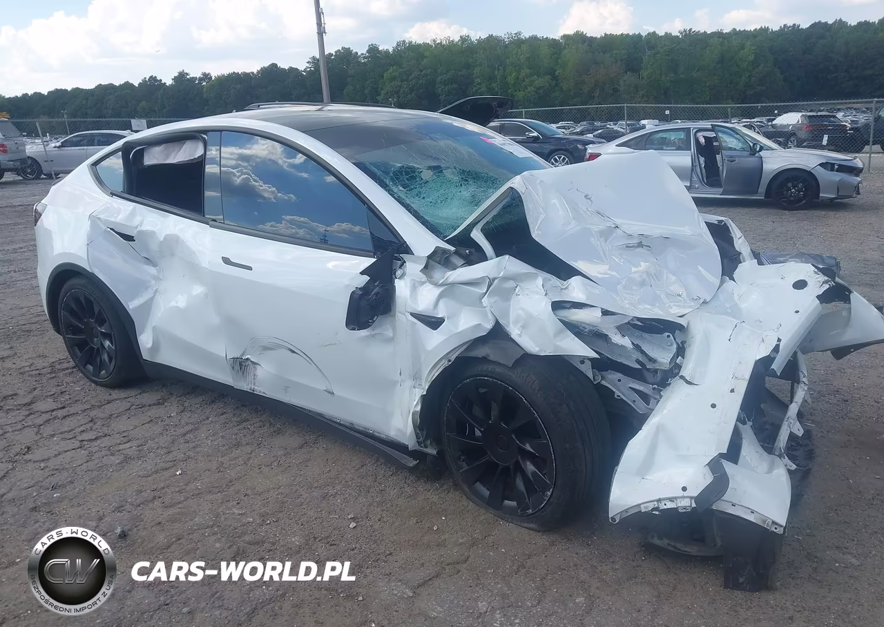 2020 Tesla Model Y Long Range Dual Motor All-Wheel Drive