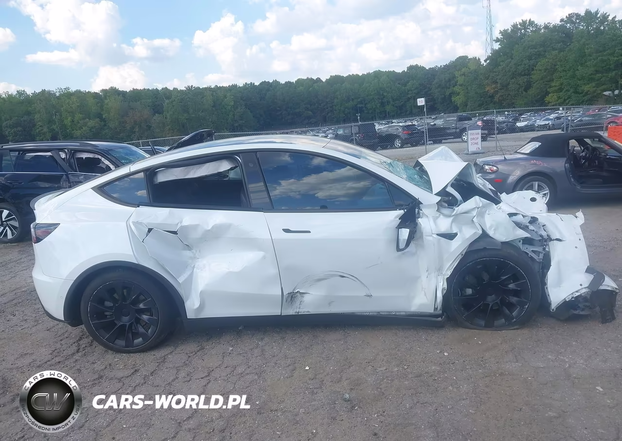 2020 Tesla Model Y Long Range Dual Motor All-Wheel Drive VIN:5YJYGDEE2LF008326 - 13