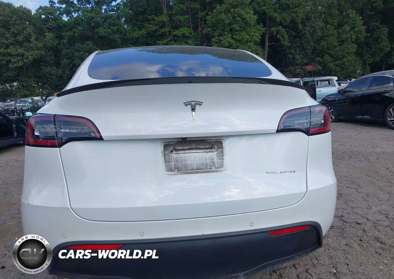 2020 Tesla Model Y Long Range Dual Motor All-Wheel Drive VIN:5YJYGDEE2LF008326 - 16