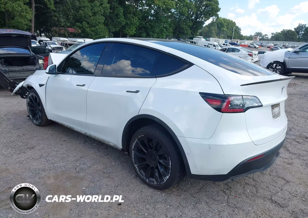 2020 Tesla Model Y Long Range Dual Motor All-Wheel Drive VIN:5YJYGDEE2LF008326 - 3