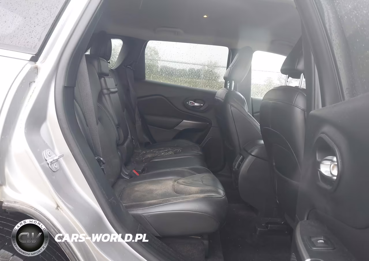 2019 Jeep Cherokee Limited 4X4 VIN:1C4PJMDN9KD179756 - 8