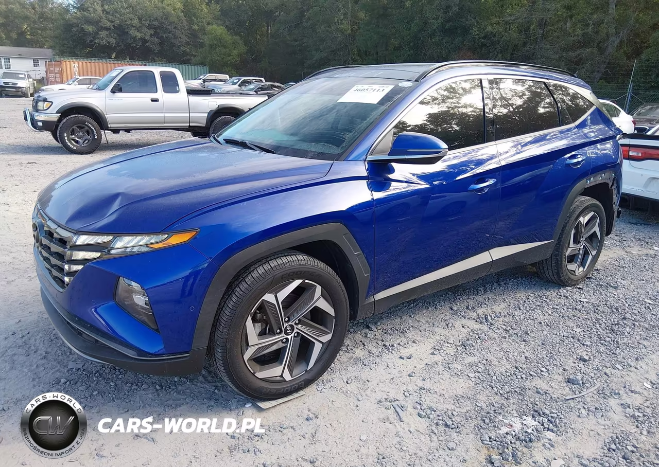 2022 Hyundai Tucson Limited VIN:5NMJECAE4NH043507 - 2