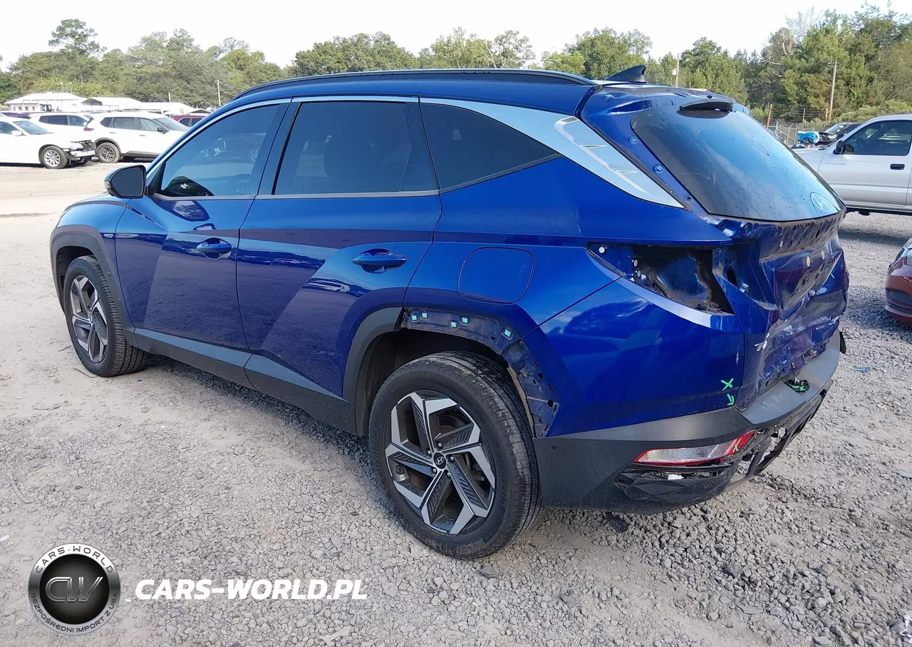 2022 Hyundai Tucson Limited VIN:5NMJECAE4NH043507 - 3