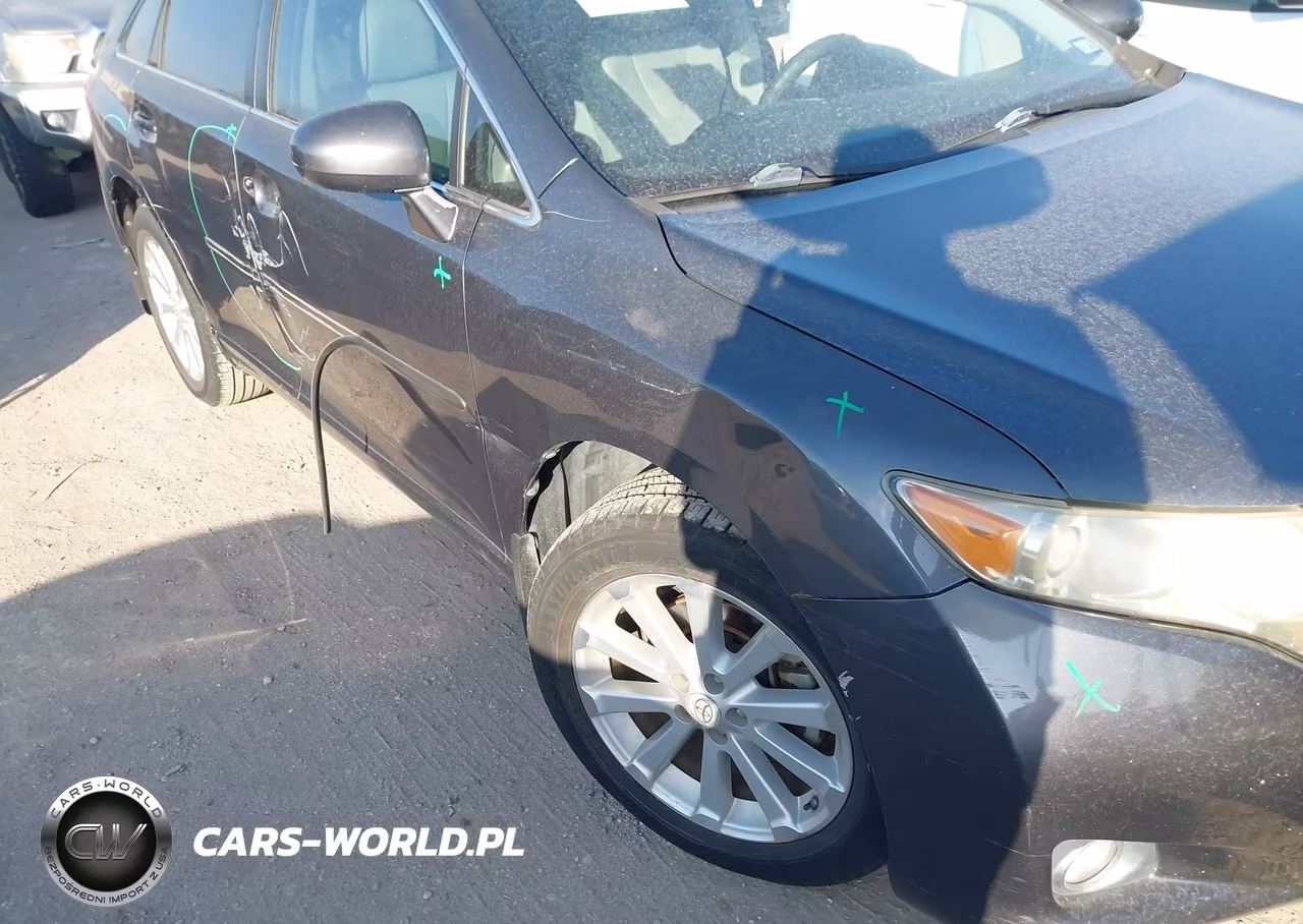 2009 Toyota Venza VIN:4T3ZE11A39U014408 - 15