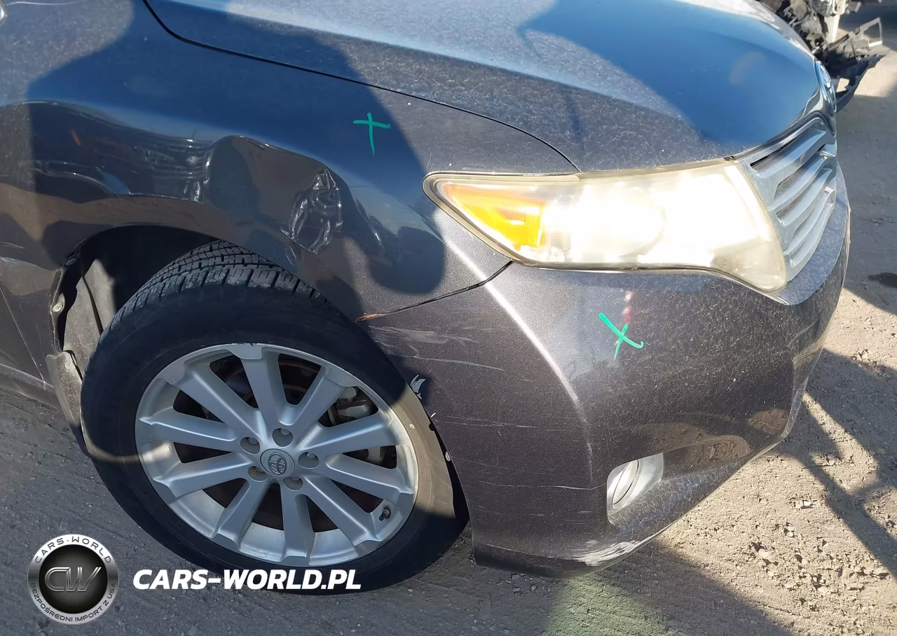 2009 Toyota Venza VIN:4T3ZE11A39U014408 - 16