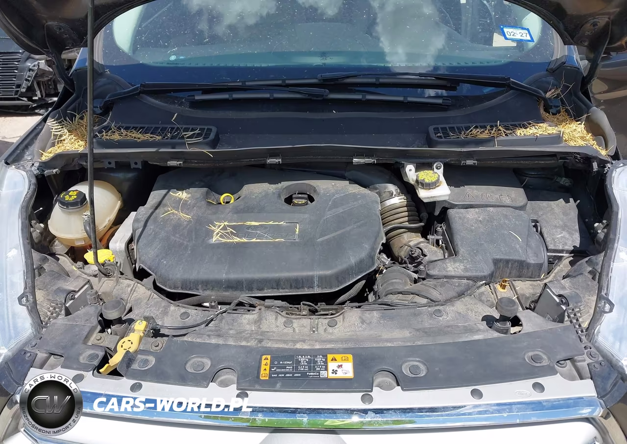 2019 Ford Escape Titanium VIN:1FMCU0J95KUB66133 - 10