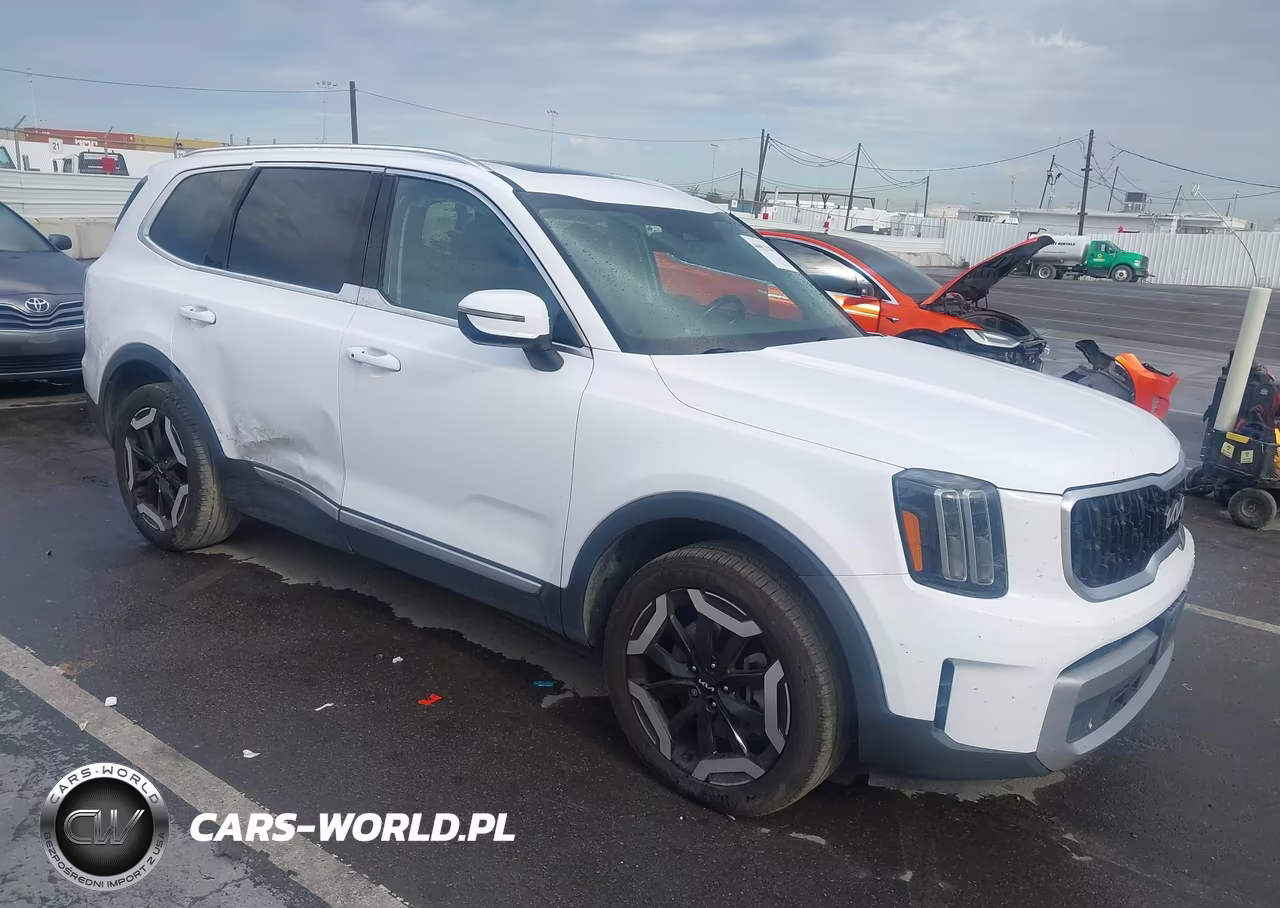 2023 Kia Telluride Ex VIN:5XYP34GC8PG361669 - 1