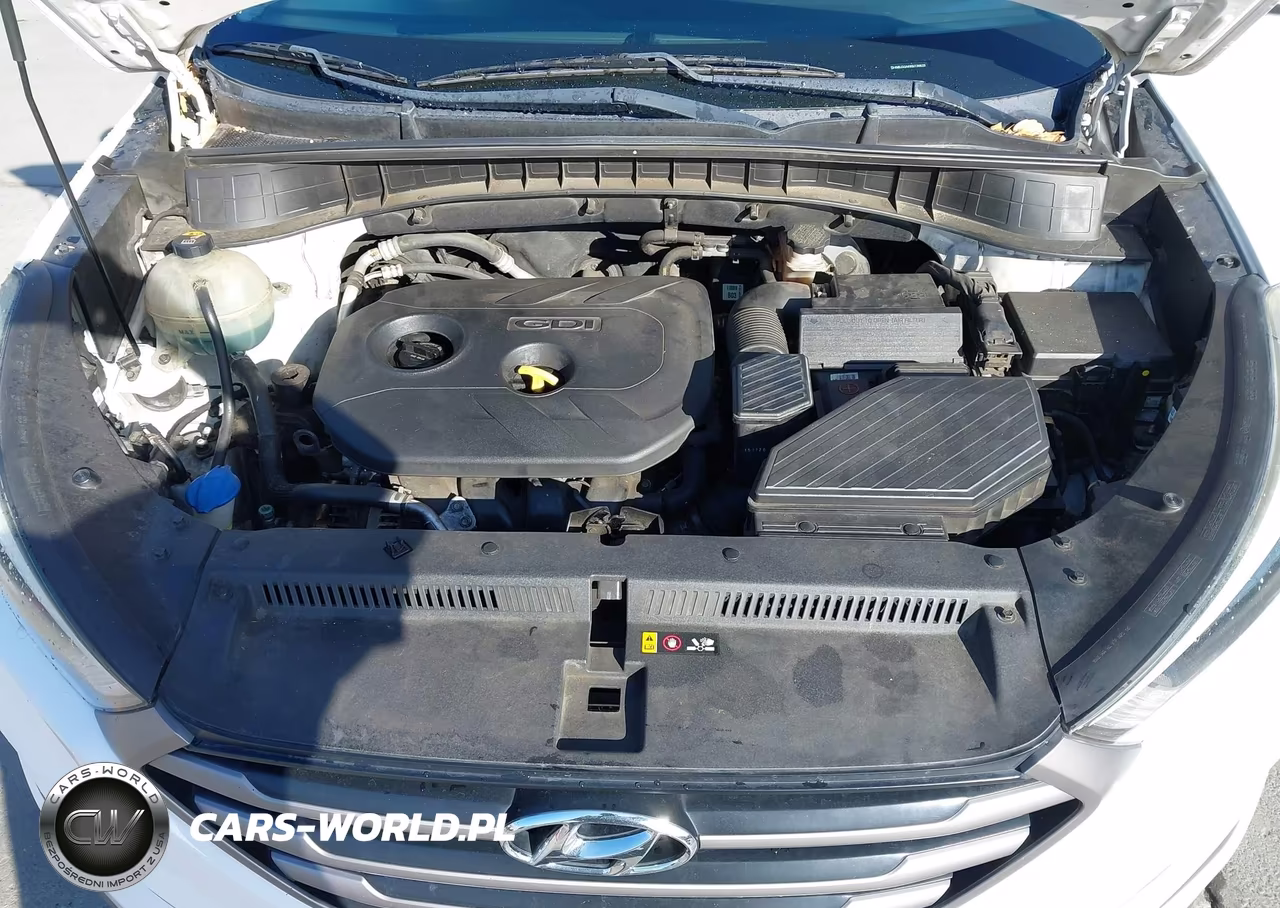 2016 Hyundai Tucson Se VIN:KM8J33A49GU130629 - 10