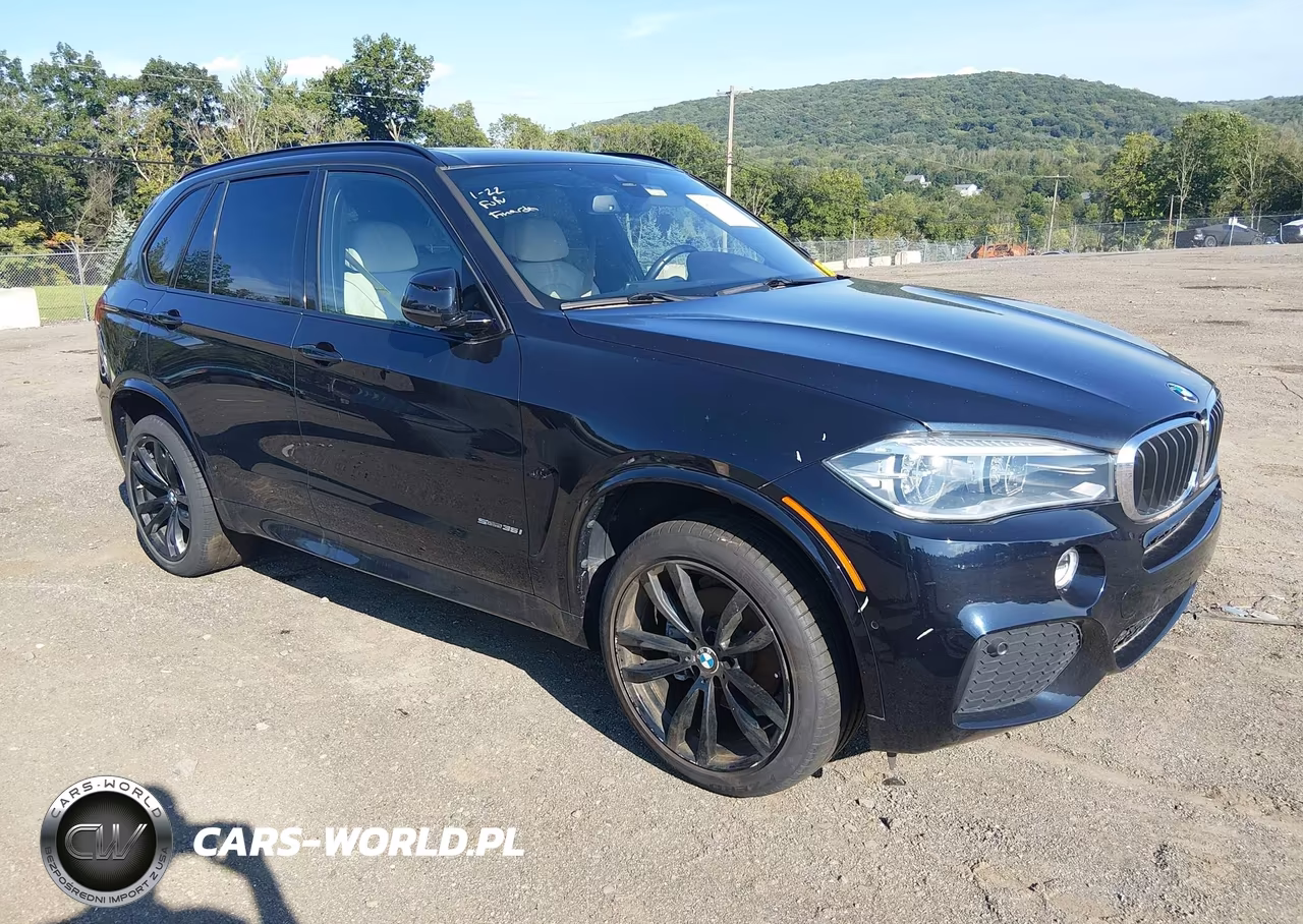 2018 BMW X5 Sdrive35I – zdjęcie 1 z 17
