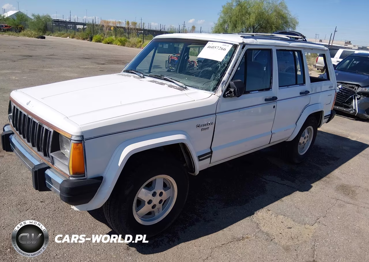 1989 Jeep Cherokee Pioneer VIN:1J4FJ38L9KL547450 - 2
