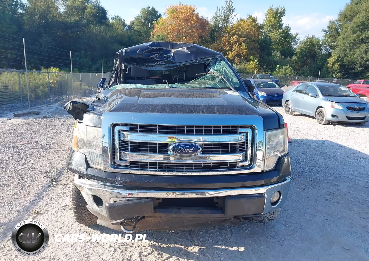 2013 Ford F-150 Xlt VIN:1FTFX1EF9DFB64231 - 12