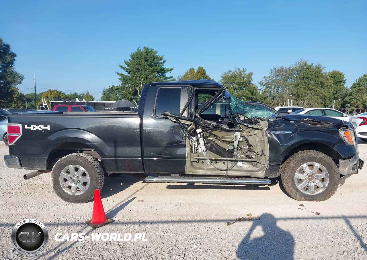 2013 Ford F-150 Xlt VIN:1FTFX1EF9DFB64231 - 13