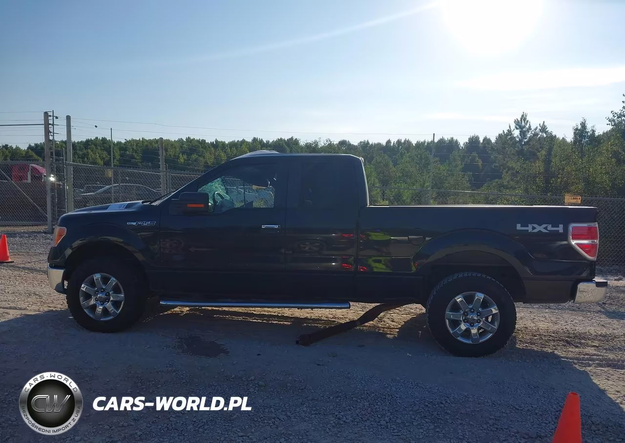 2013 Ford F-150 Xlt VIN:1FTFX1EF9DFB64231 - 14