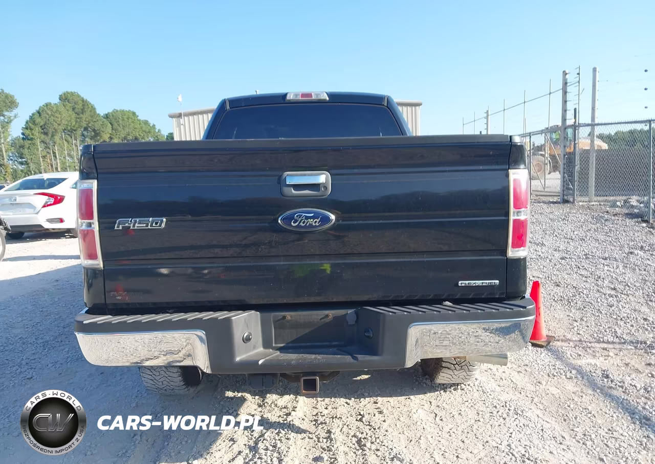 2013 Ford F-150 Xlt VIN:1FTFX1EF9DFB64231 - 16