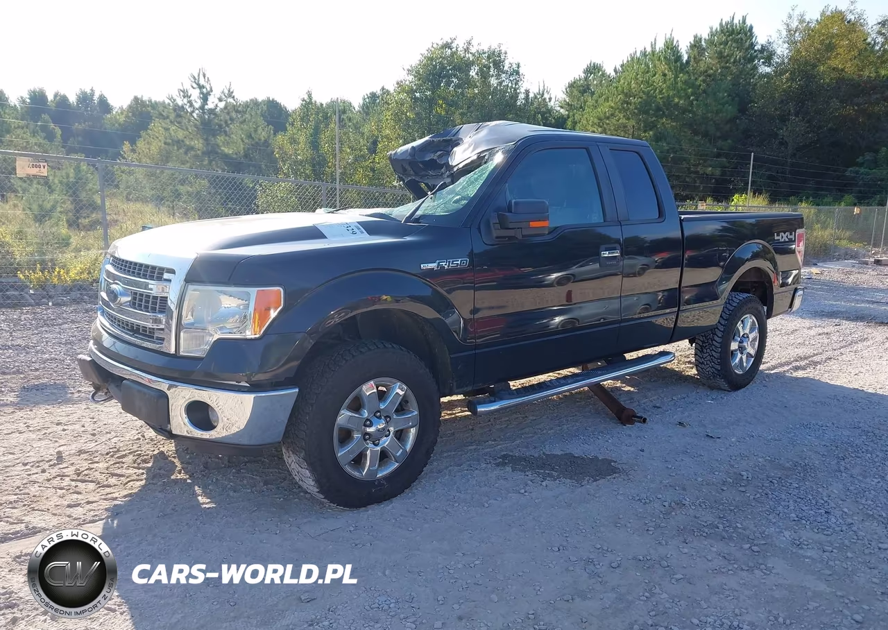 2013 Ford F-150 Xlt VIN:1FTFX1EF9DFB64231 - 2
