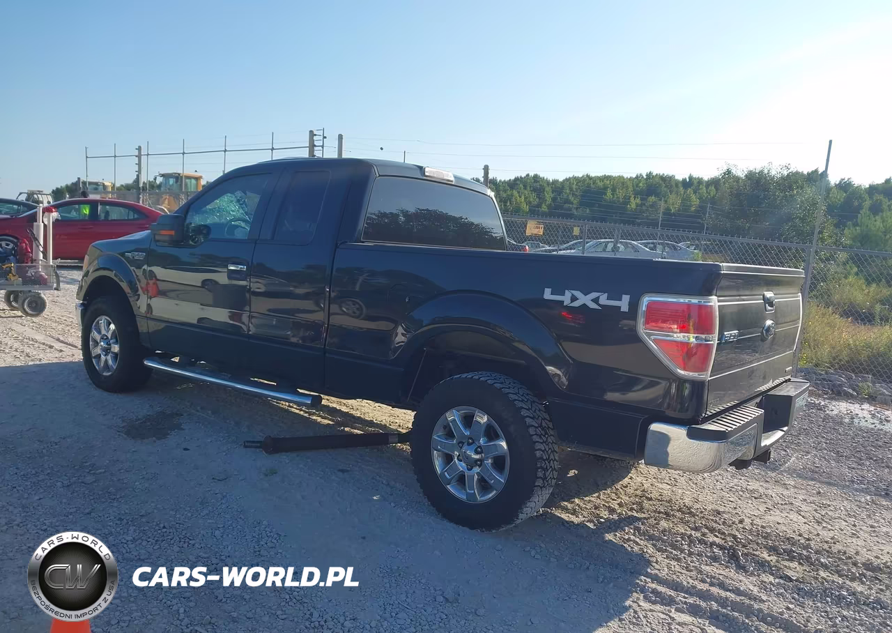 2013 Ford F-150 Xlt VIN:1FTFX1EF9DFB64231 - 3