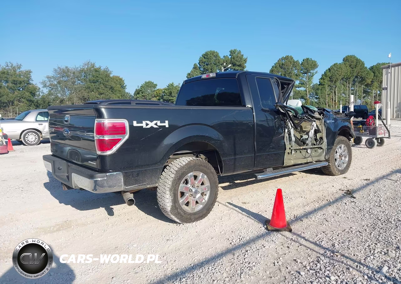 2013 Ford F-150 Xlt VIN:1FTFX1EF9DFB64231 - 4