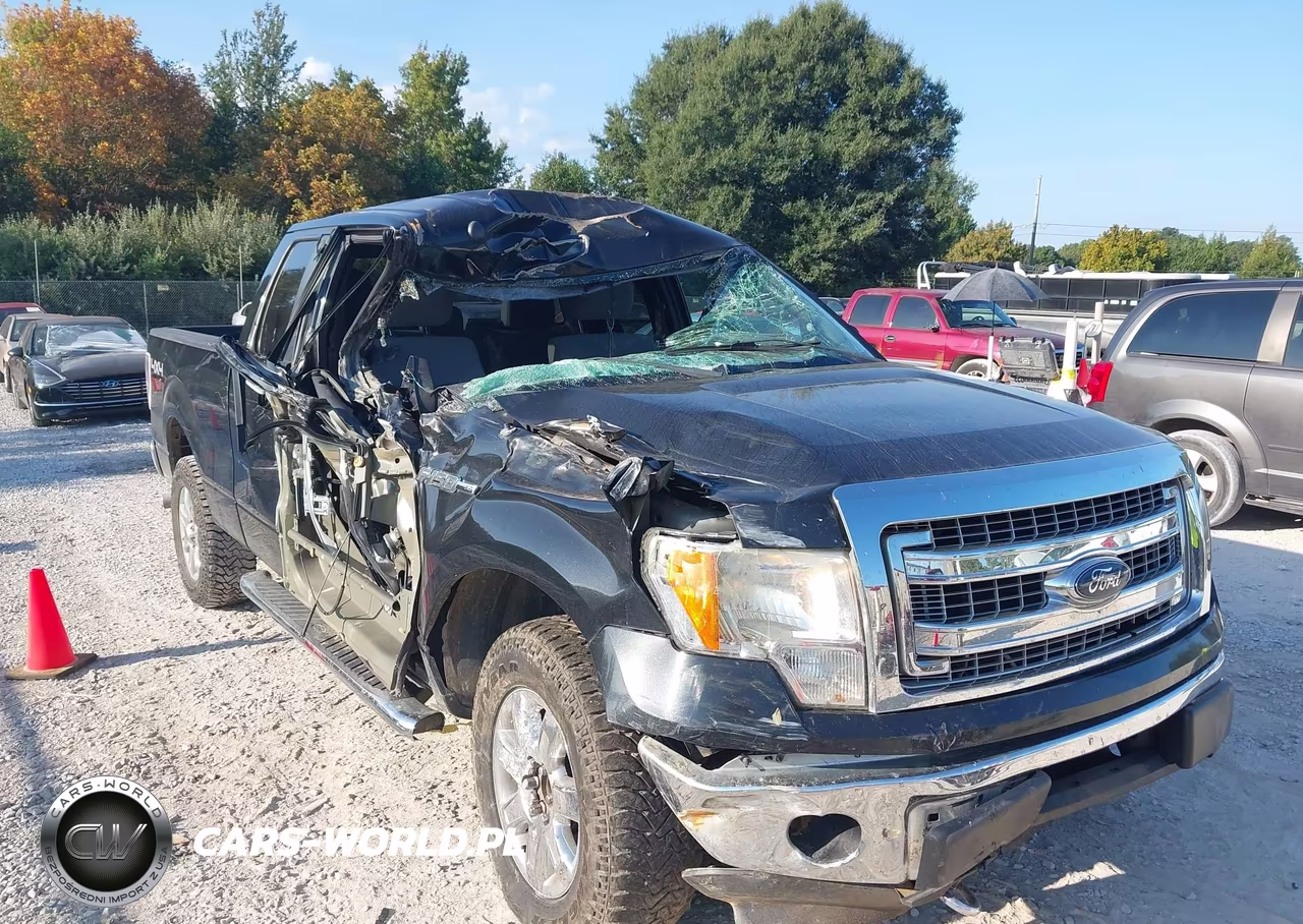 2013 Ford F-150 Xlt VIN:1FTFX1EF9DFB64231 - 6