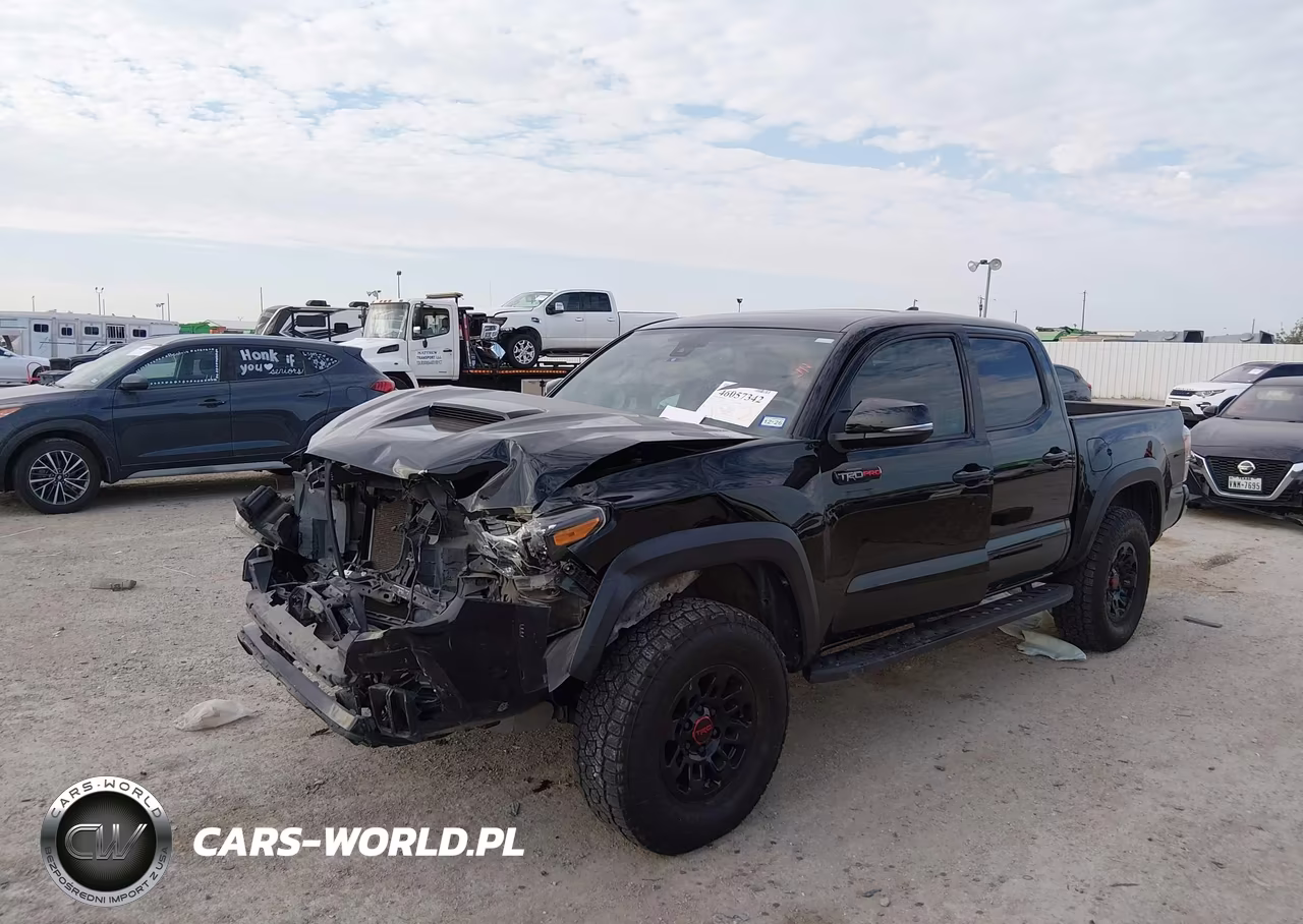2019 Toyota Tacoma Trd Pro VIN:5TFCZ5AN8KX206963 - 19