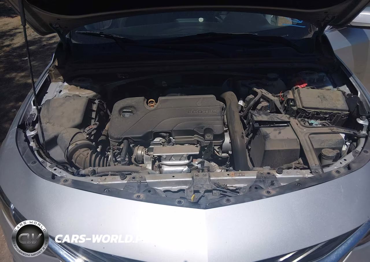 2019 Chevrolet Malibu Lt VIN:1G1ZD5ST2KF105986 - 10
