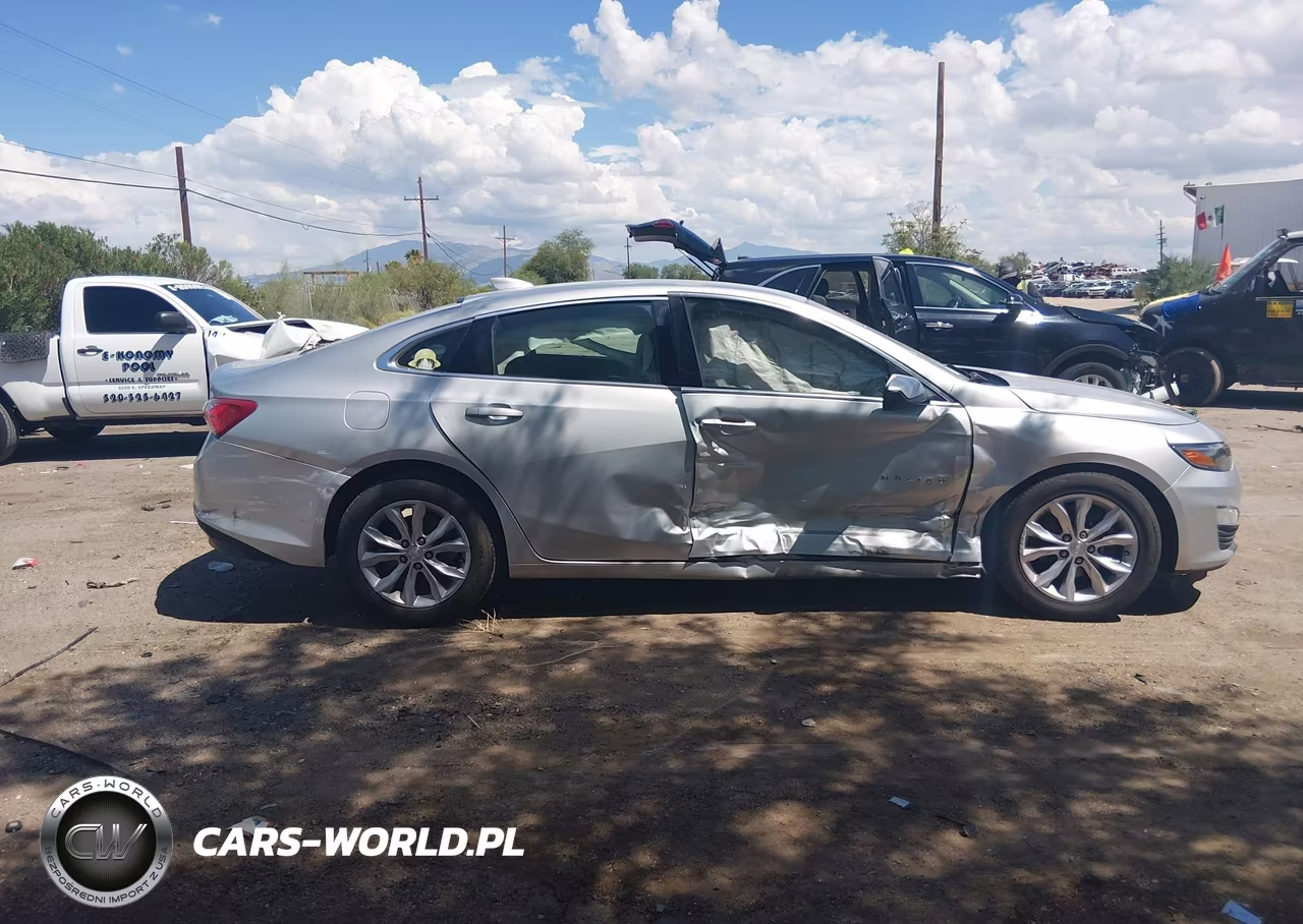 2019 Chevrolet Malibu Lt VIN:1G1ZD5ST2KF105986 - 13