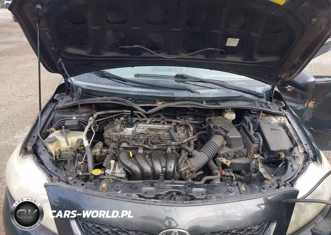 2010 Toyota Corolla VIN:2T1BU4EE5AC319507 - 10