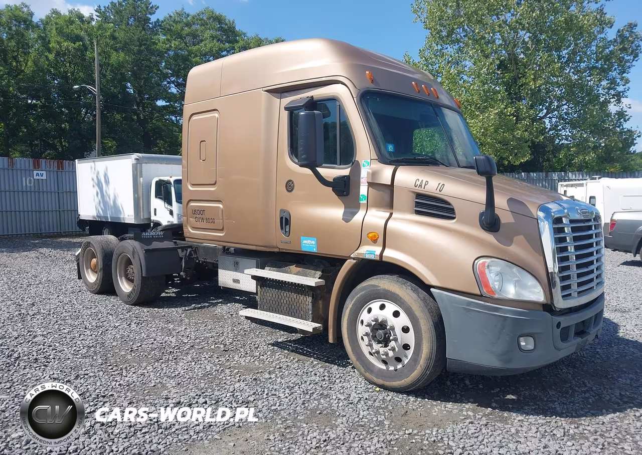 2015 Freightliner Cascadia 113