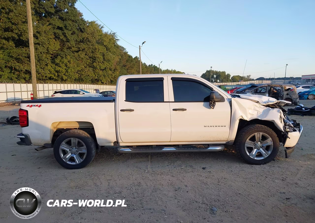 2018 Chevrolet Silverado 1500 Custom VIN:3GCUKPEC5JG341852 - 13