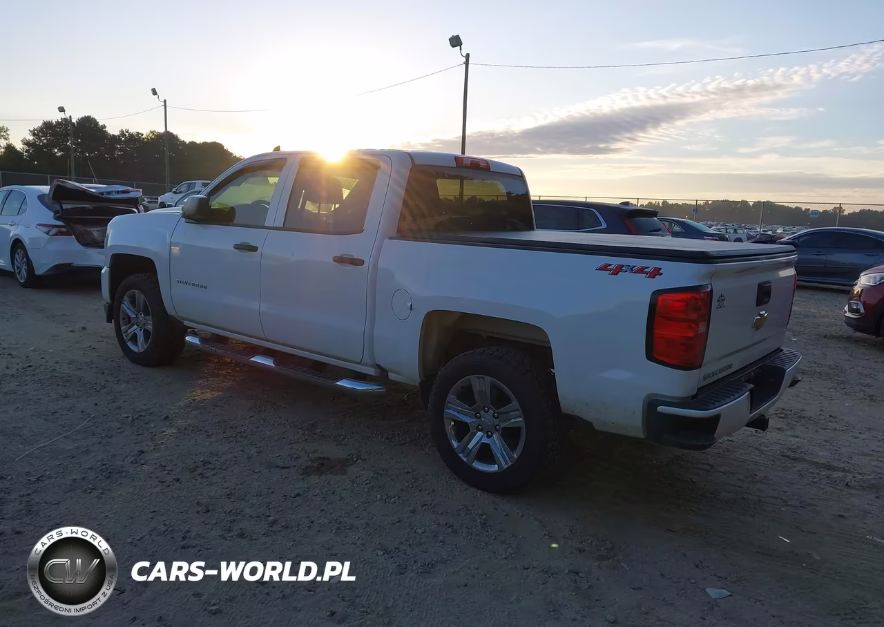 2018 Chevrolet Silverado 1500 Custom VIN:3GCUKPEC5JG341852 - 3