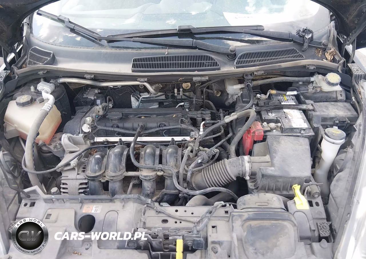 2016 Ford Fiesta Se VIN:3FADP4BJ6GM203143 - 10