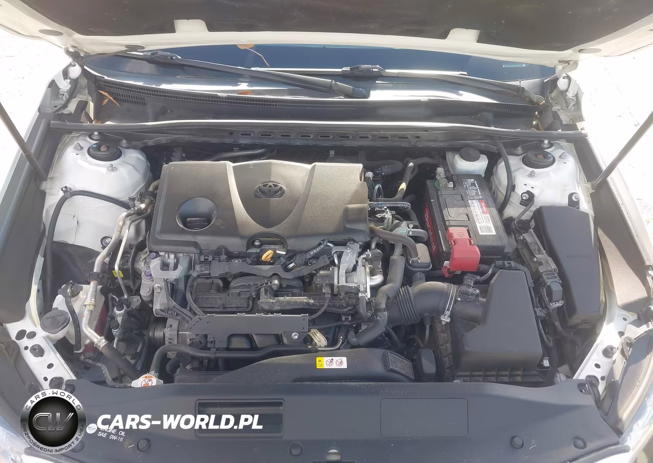 2018 Toyota Camry Se VIN:4T1B11HKXJU674910 - 10