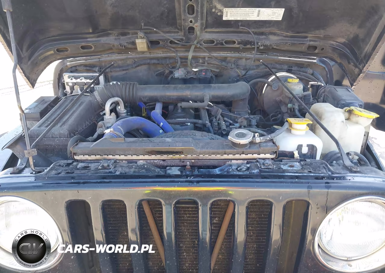 1999 Jeep Wrangler Sport VIN:1J4FY19S7XP427992 - 10