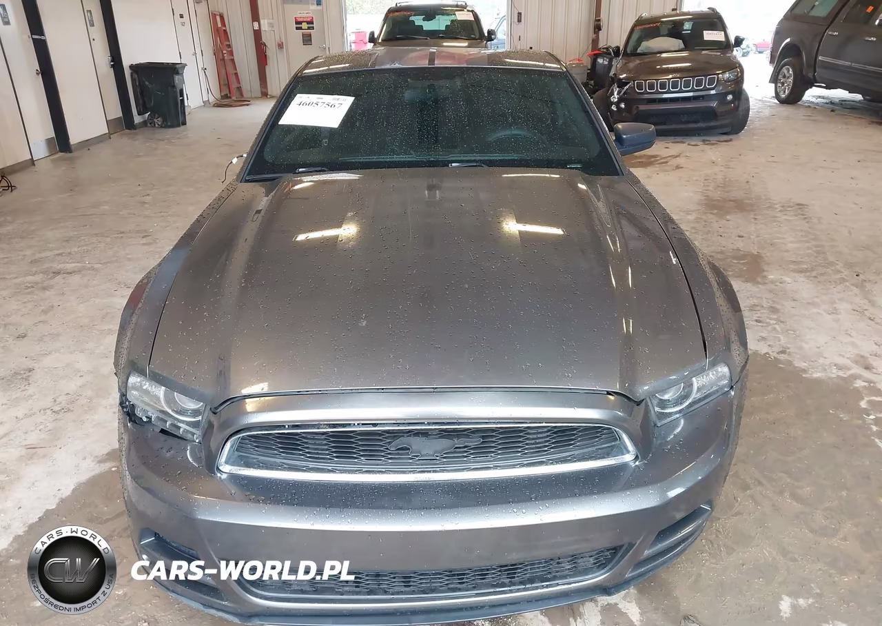 2013 Ford Mustang V6 VIN:1ZVBP8AM7D5240382 - 12