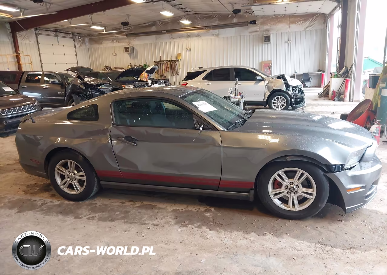 2013 Ford Mustang V6 VIN:1ZVBP8AM7D5240382 - 13