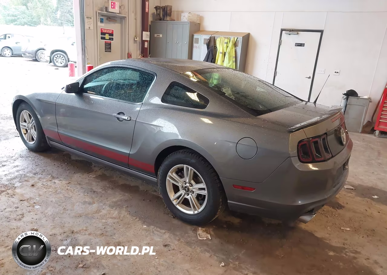 2013 Ford Mustang V6 VIN:1ZVBP8AM7D5240382 - 3