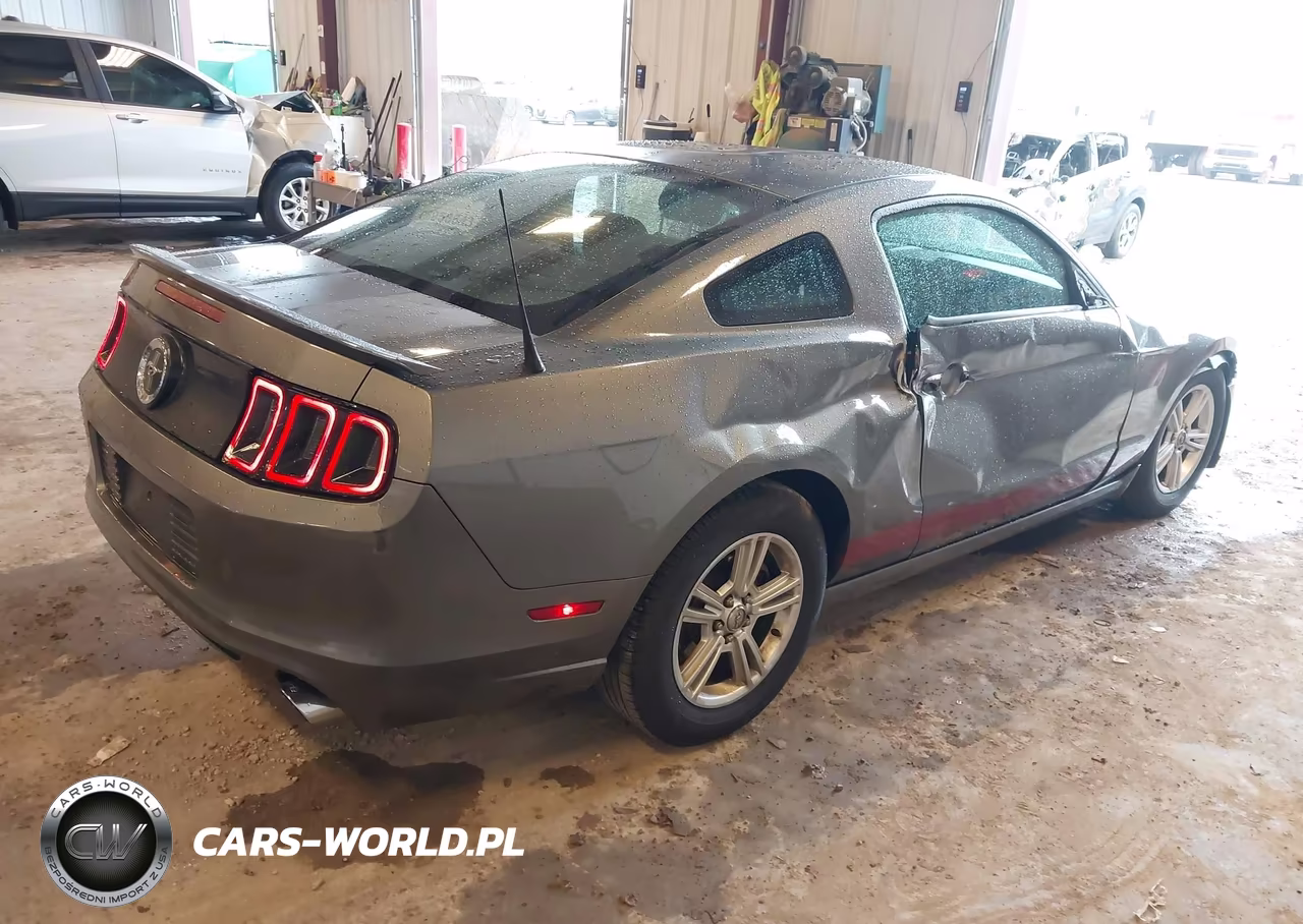 2013 Ford Mustang V6 VIN:1ZVBP8AM7D5240382 - 4