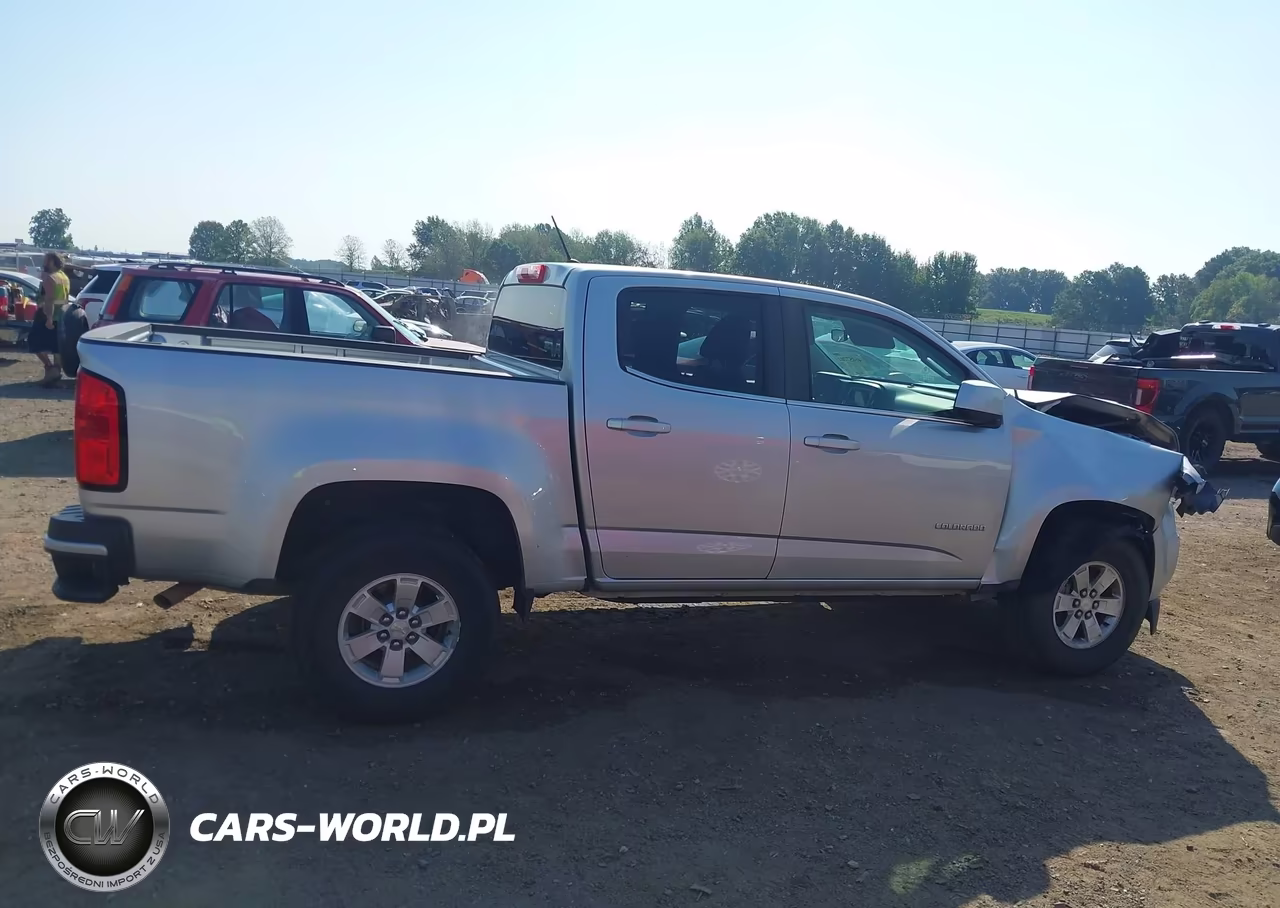 2019 Chevrolet Colorado Wt VIN:1GCGSBEA9K1194059 - 13