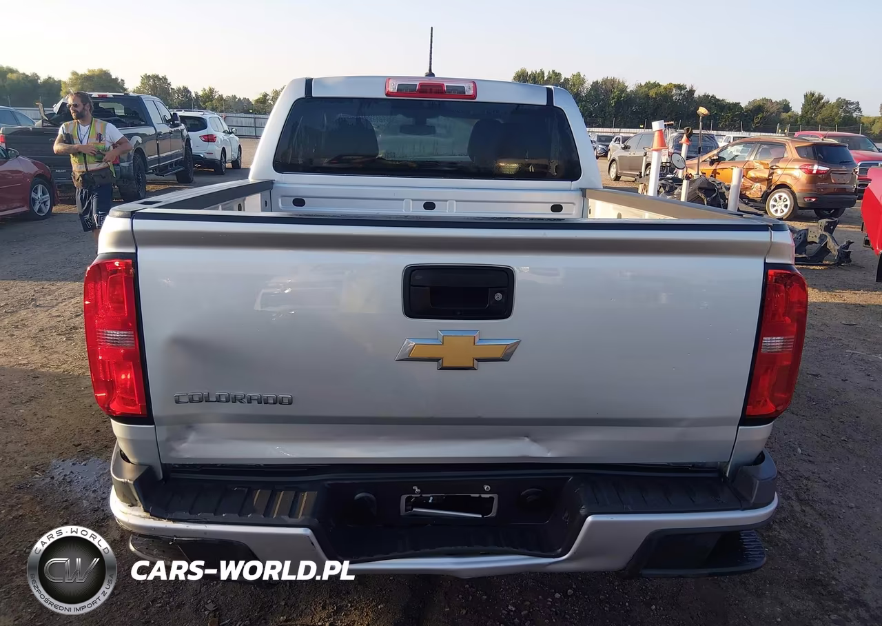 2019 Chevrolet Colorado Wt VIN:1GCGSBEA9K1194059 - 16
