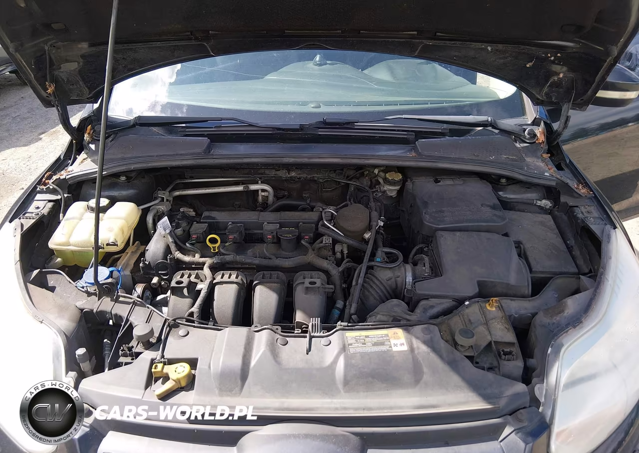 2013 Ford Focus Se VIN:1FADP3F23DL236420 - 10