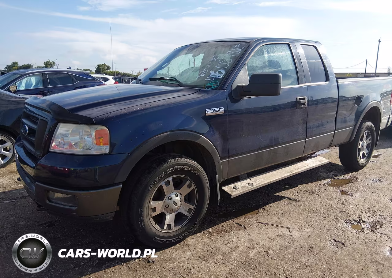2004 Ford F150 VIN:1FTPX14514NC18382 - 2